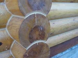 ����������� ���������� �����