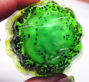 �����������. ������-�����