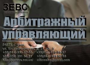 ����������� �����������