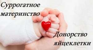 ����������� ����������� � ��������� ���������� ������� - ����������