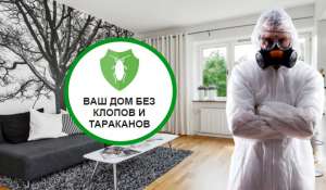 �����������, �����������, ����������� ���� ������ ���������