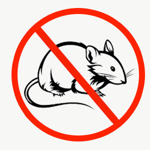 �����������, �����������, ����������� ���� ������ ���������