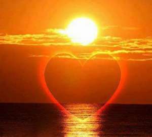 ������������ - ����������