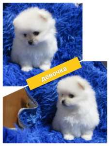 ������������ ���