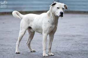 ������������ ��� ���� �������!