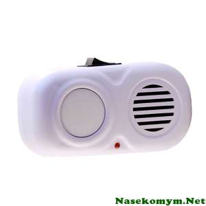 ������������ ���� � ����� ��������� - ����������