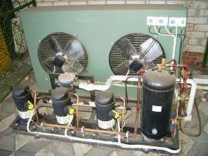 ������������ �����