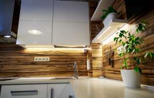 ������������ �����