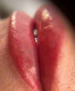 ������������ �����