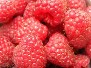 ������������ ������