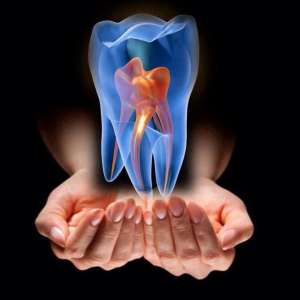 ������������ ������