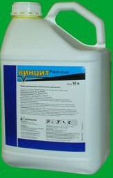 ������������ ������ - ����������