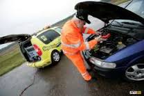 ������������ ������ ���� - ����������