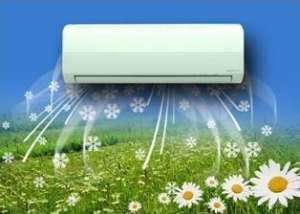 ������������, �������, ���������, ������, ������, ������������, ������, ��������, ��������, ���� � ������� - ����������