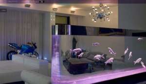 ������������ ���������