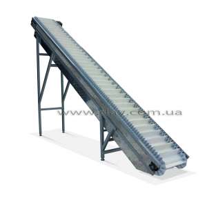 ������������ ���������, ���������