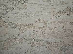 ������������ ���������� "���������" - ����������