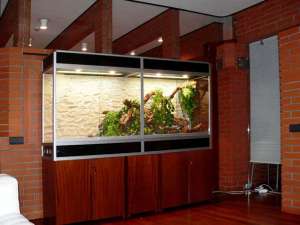 ������������ �����������