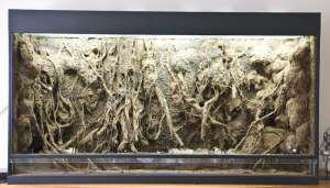 ������������ �����������