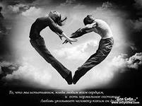 ������������ ����������� �������� �� �������� - ����������