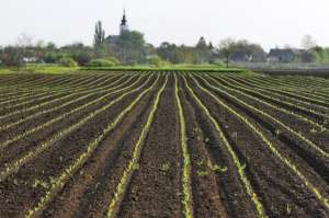 ������������ ����������� ��������� ��� -5,6(������� ��� �������� ��� ������) - ����������