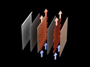 ������������ ������������