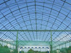 ������������ ������������������ ����� ���������. - ����������