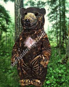 �������������