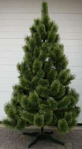 ������������� ���� � �����