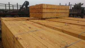 �������������. �����. ����