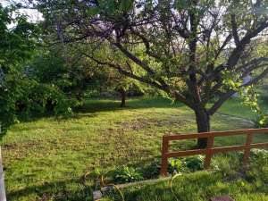 ������������� ������ 3-� ���� �����������, �����`�, 10000 ���./��. - ����������