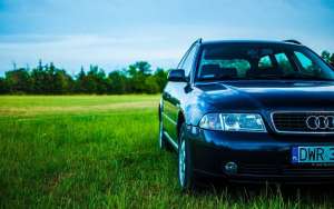 �������������. ������ ���� �� ����.������������.��������. - ����������