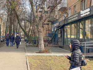 ������������� ������ ������ ����� ���, ����������, 60000 ���./��.