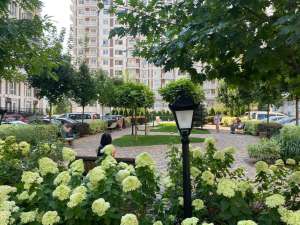 ������������� ������ ������ ����� ���, �����������, 2765 $/��.