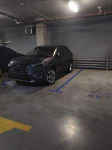 ������������� ������ �������� ������ ���, �������������, 160 $/��. - ����������