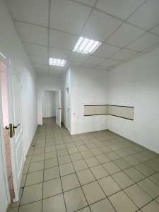 ������������� ������ ��������� ������� �����������, ����� �������������, ��������, 18500 ���./��. - ����������