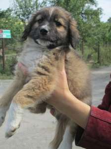 ������������� ������� ���� ������� ������ - ����������