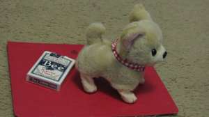 ������������� ������� �������� ��-��, Westminster �� ��� 230 ���