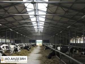 ������������� ���������� - ����������