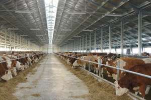 ������������� ����������