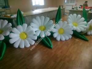 ��������������