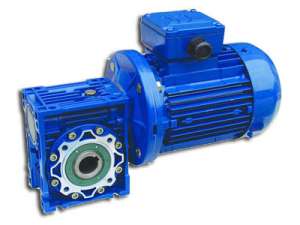 �����-��������� - ����������