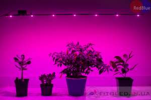 �������������� LED - ����������