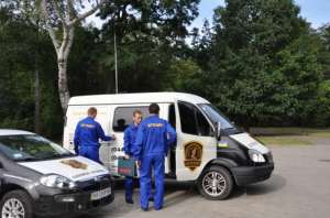 �������������� � ������������ ���� - ����������