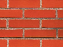 �������������� �� �������������! - ����������