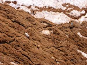 �������������� �� ������������� �� �������� �����! - ����������