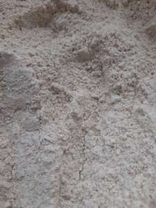 �������������� ���� �� ������� ������ �������