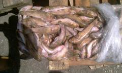 �������������� ����� - ����������