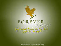 �������������� ����� � �������������� � ��������� ������� ������ �������� - ����������