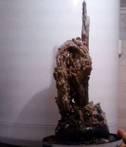 �������������� ������